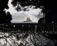 Botany Bay 2010, 35, Tug Boat