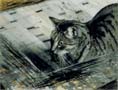 Cat and Mouse, 1982