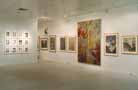 Perspective Installation 9
